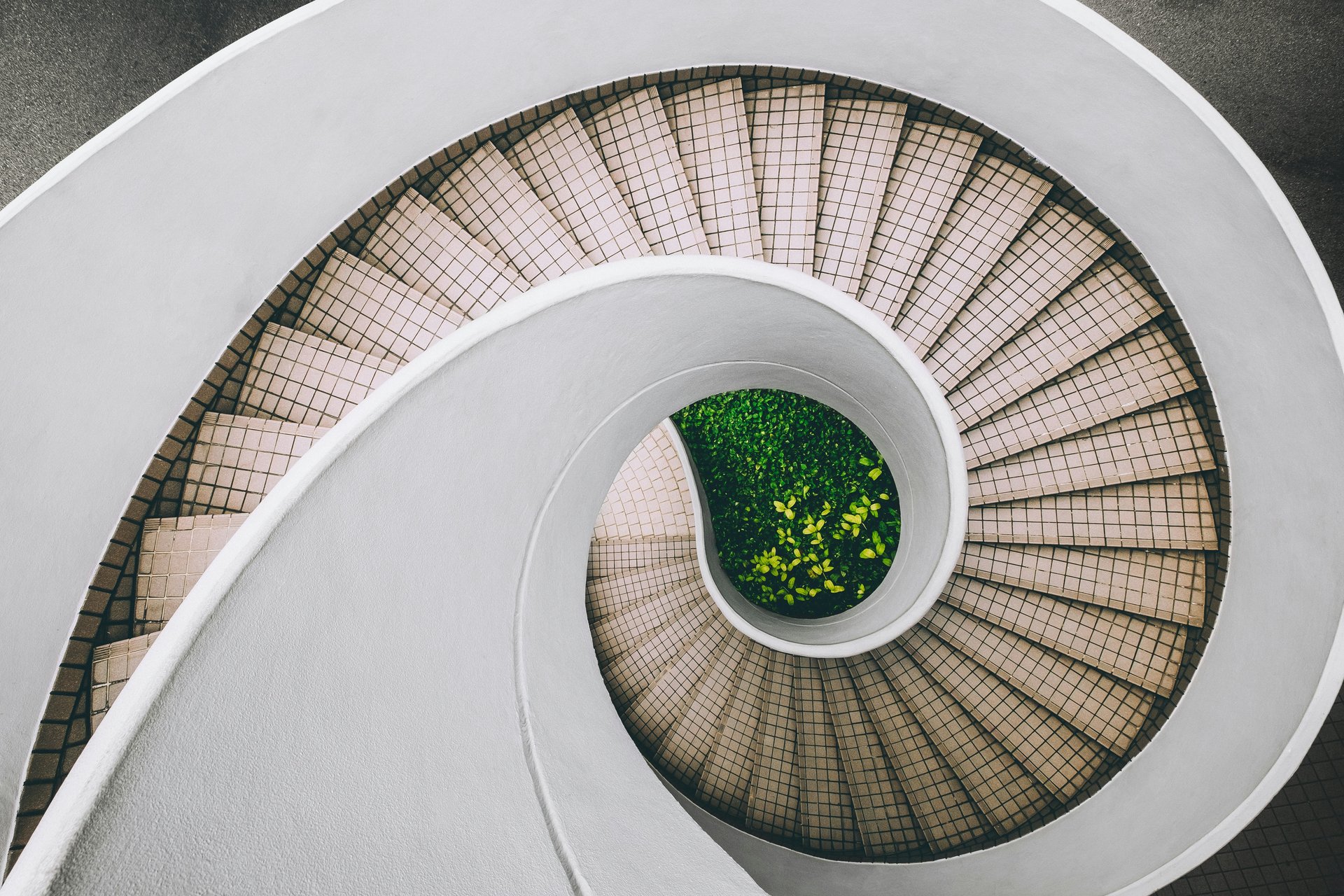 Curving light-coloured staircase surrounding a centre of greenery